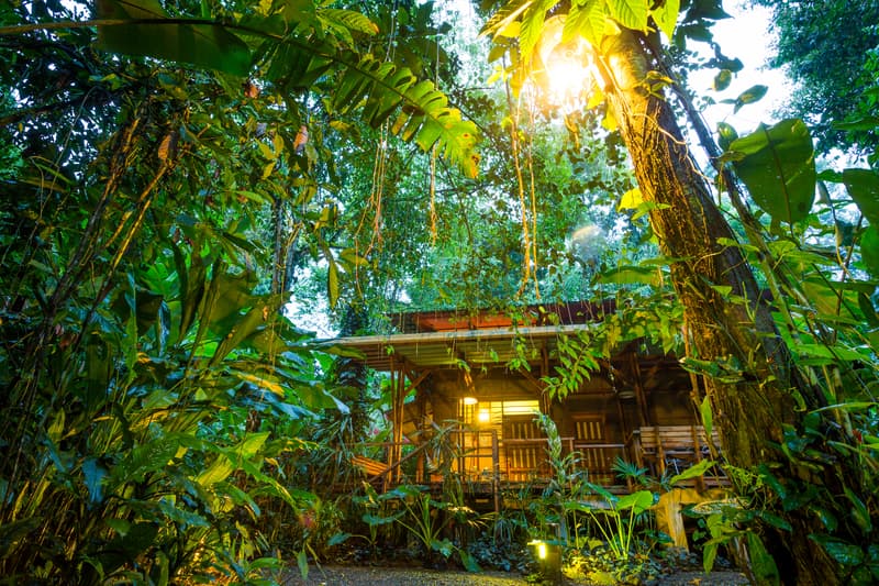 Sustainable Travel Destinations Eco-Tourism Luxury resort blending into the jungle canopy.