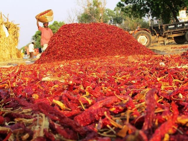 Rajasthan Laal Maas made with Mathania red chillies.