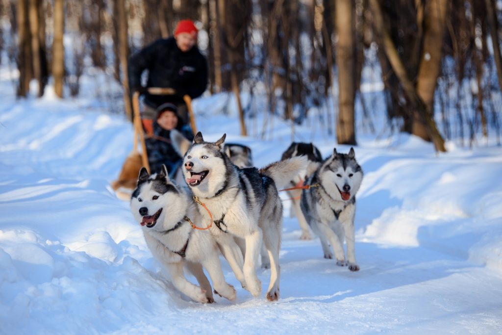 adventure sports
