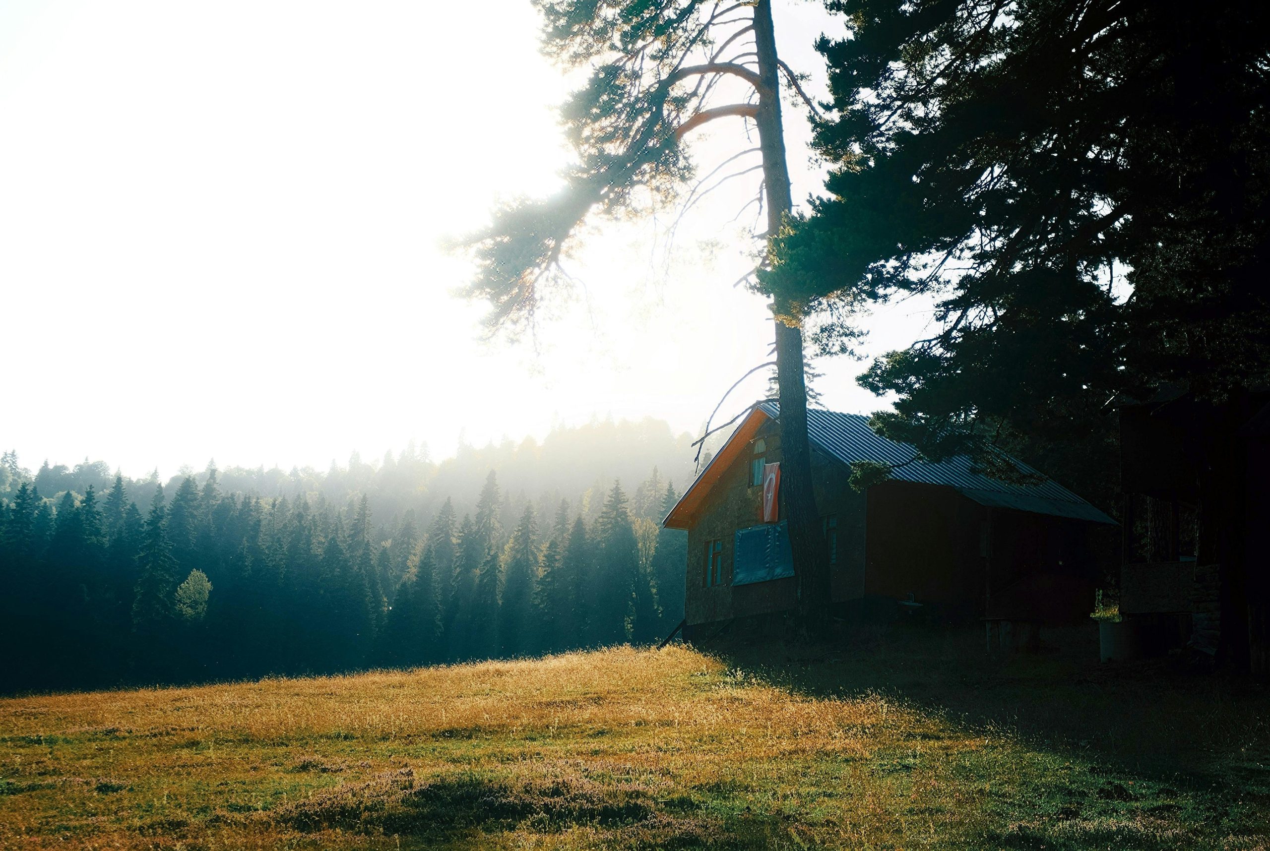 Eco winter holiday ideas 2026 featuring eco-friendly snow cabins in a sustainable winter destination